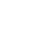 shady lady
